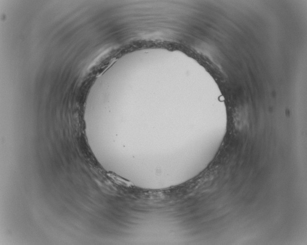 X0000062900968200602031828