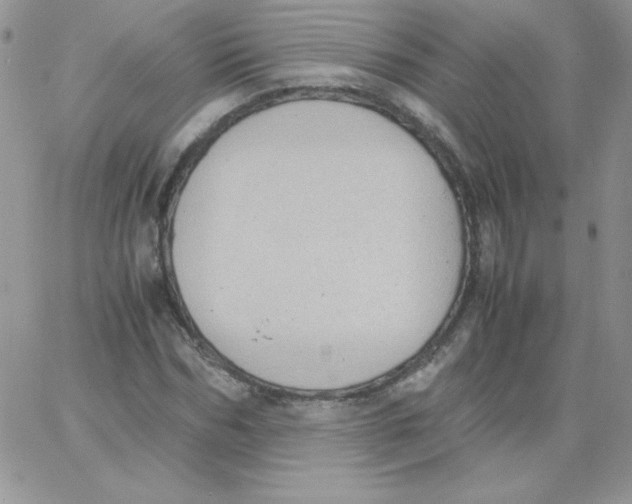 X0000062900970200602031828