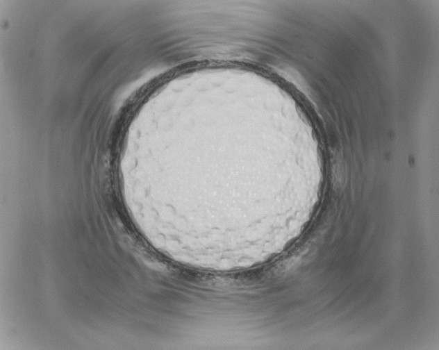 X0000062900971200602031828