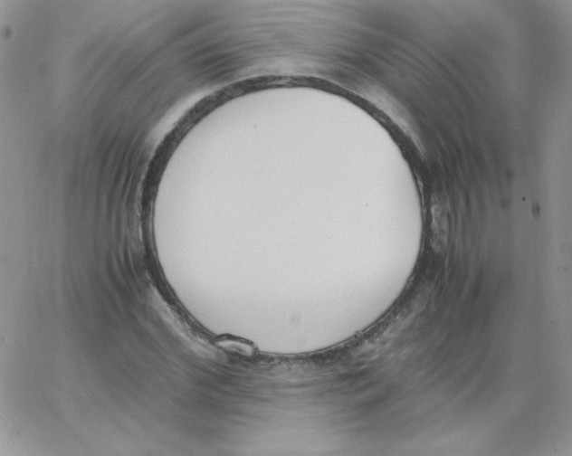 X0000062900972200602031828