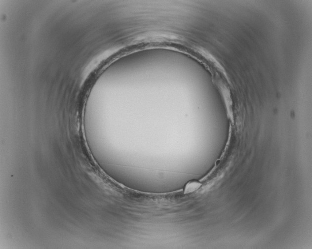 X0000062900973200602031828