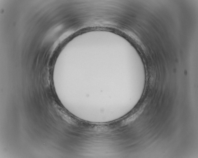 X0000062900974200602031828