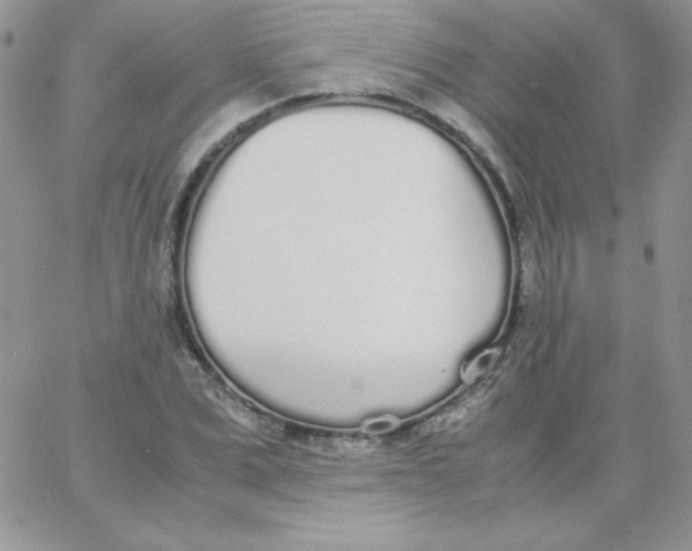 X0000062900975200602031828