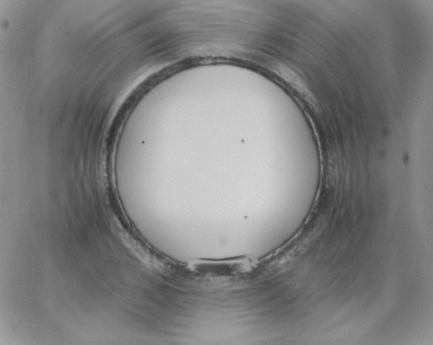 X0000062900976200602031828