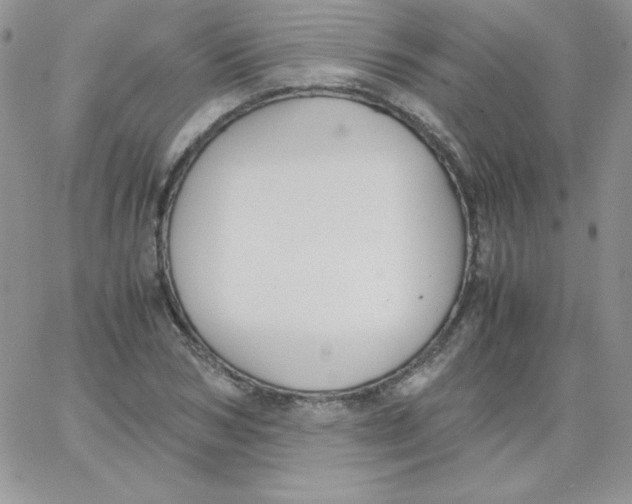 X0000062900978200602031828