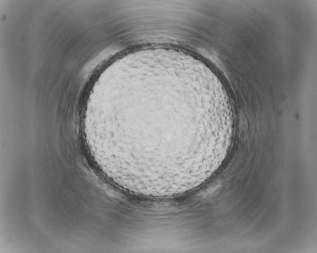 X0000062900979200602031828