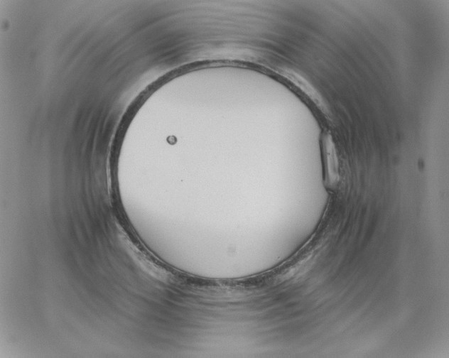 X0000062900980200602031828