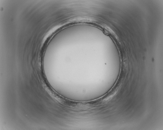 X0000062900981200602031828