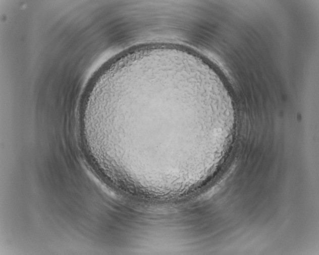 X0000062900982200602031828