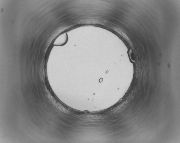 X0000062900984200602031828