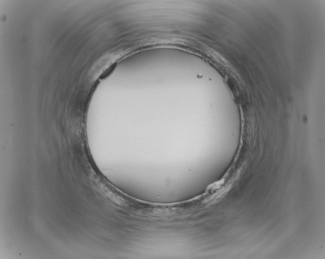 X0000062900985200602031828