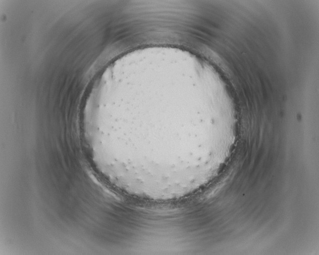 X0000062900986200602031828