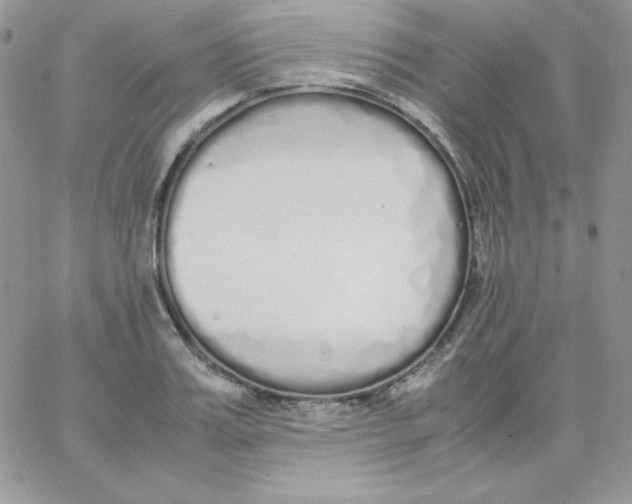 X0000062900987200602031827