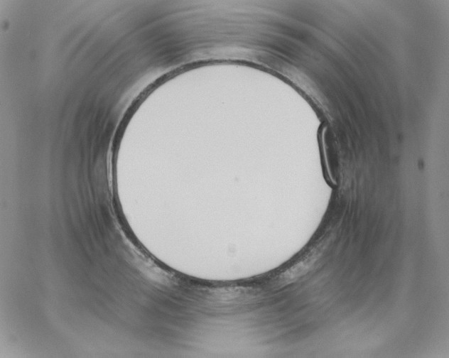 X0000062900988200602031827