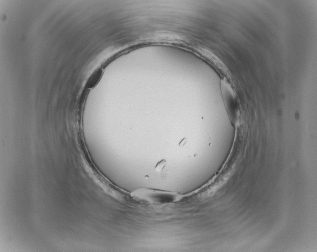 X0000062900989200602031827