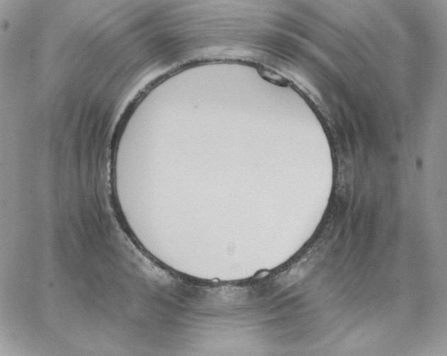 X0000062900992200602031827