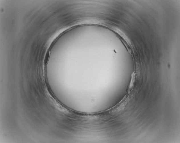 X0000062900996200602031827