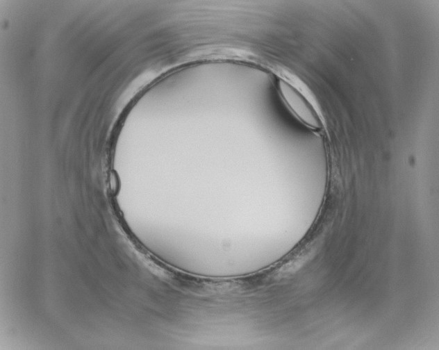 X0000062900997200602031827