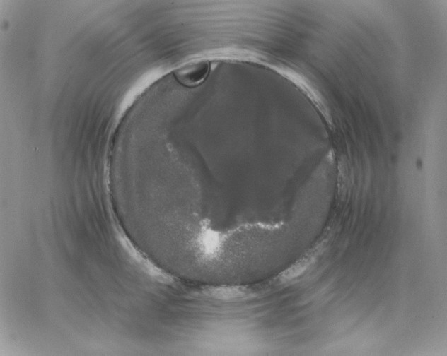 X0000062900998200602031827