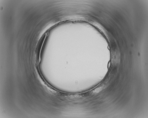 X0000062900999200602031827