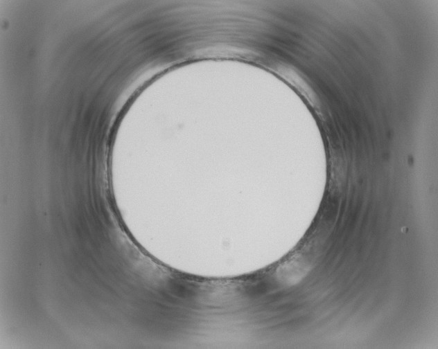 X0000062901000200602031827