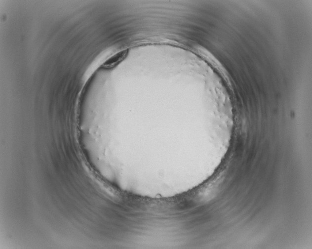 X0000062901002200602031827