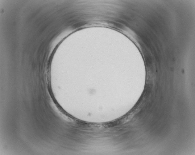 X0000062901003200602031827