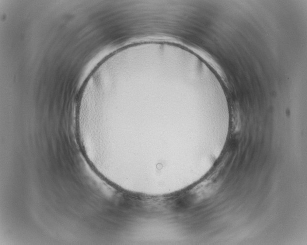 X0000062901006200602031827