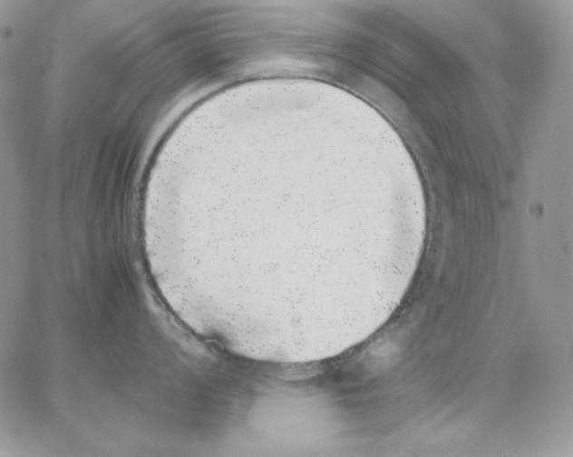 X0000062901008200602031827