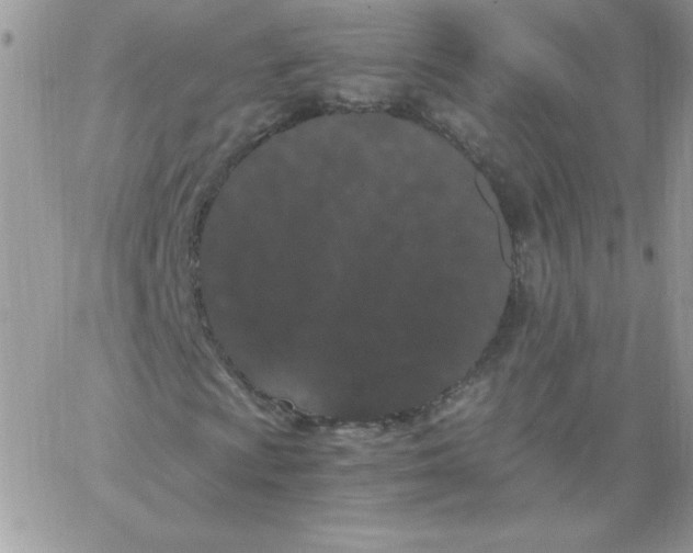 X0000062901009200602031826