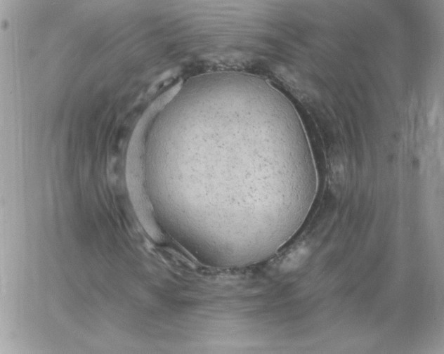 X0000062901010200602031826