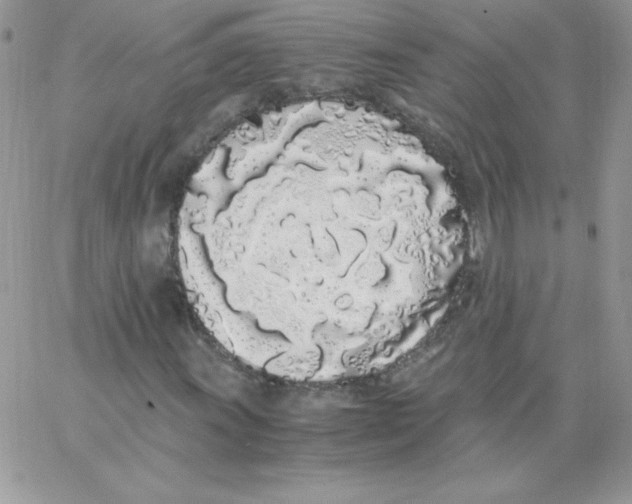 X0000062901011200602031826