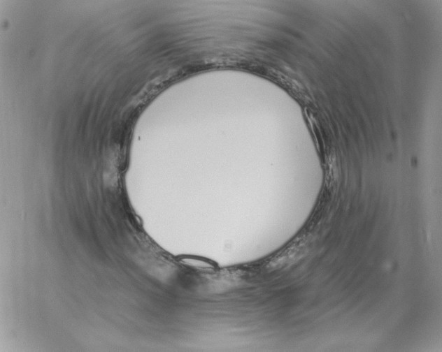 X0000062901012200602031826