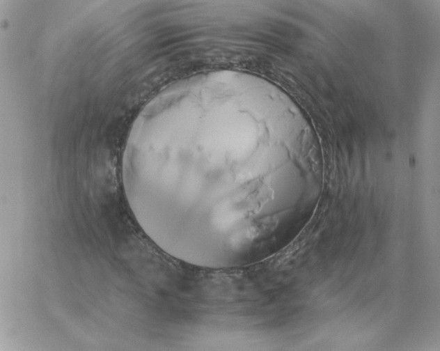 X0000062901013200602031826