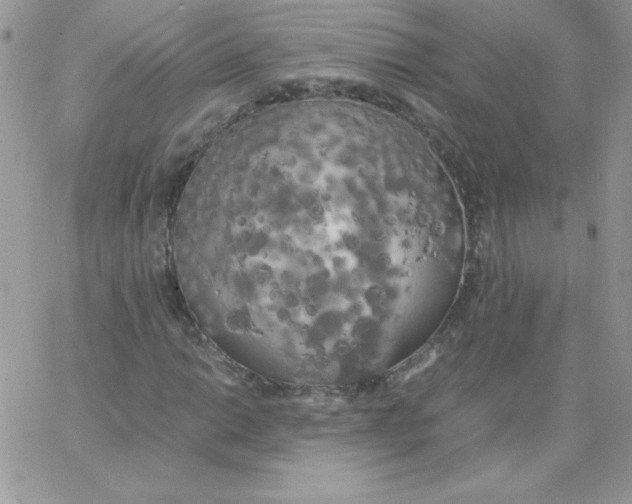 X0000062901014200602031826