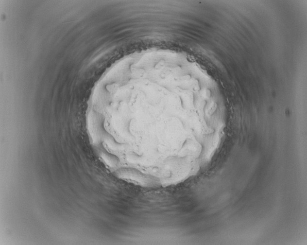 X0000062901015200602031826