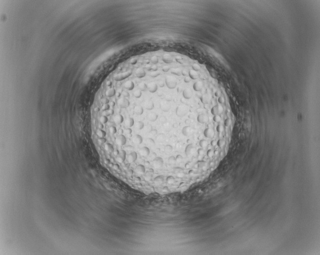 X0000062901016200602031826