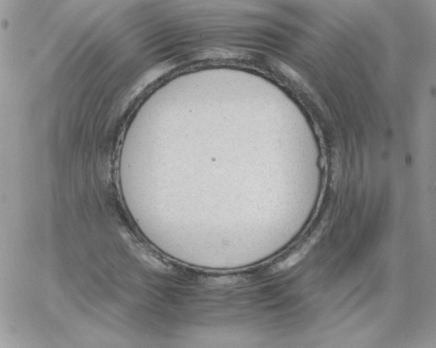 X0000062901017200602031827