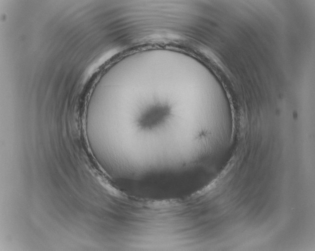 X0000062901018200602031827