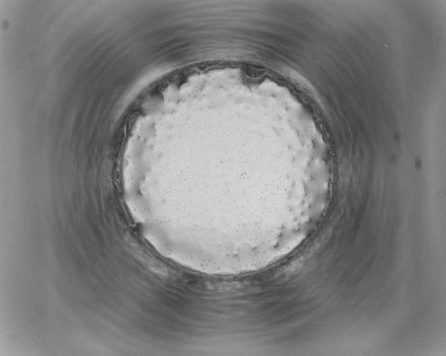 X0000062901019200602031827