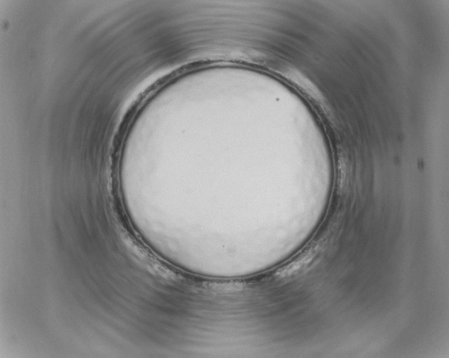 X0000062901020200602031827