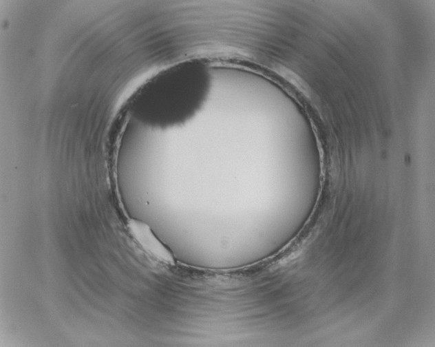 X0000062901022200602031827