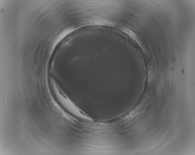 X0000062901024200602031827