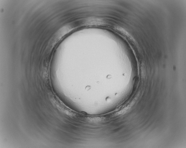 X0000062901025200602031827