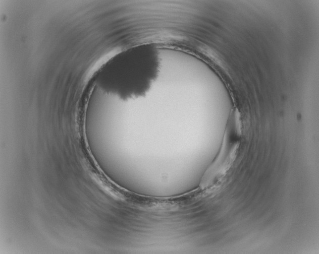 X0000062901026200602031827