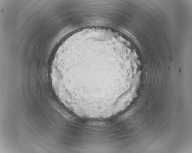 X0000062901027200602031827