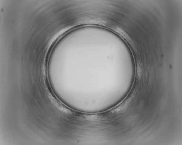 X0000062901028200602031827