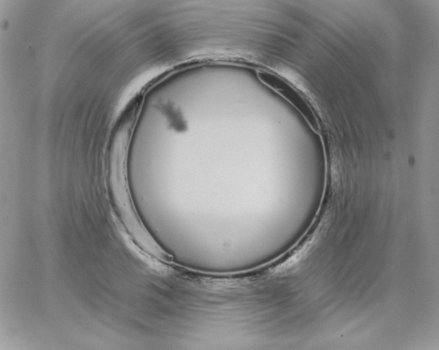 X0000062901030200602031827