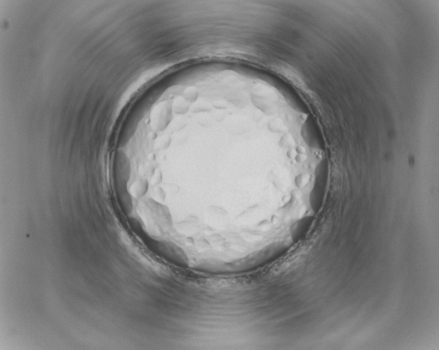 X0000062901032200602031827