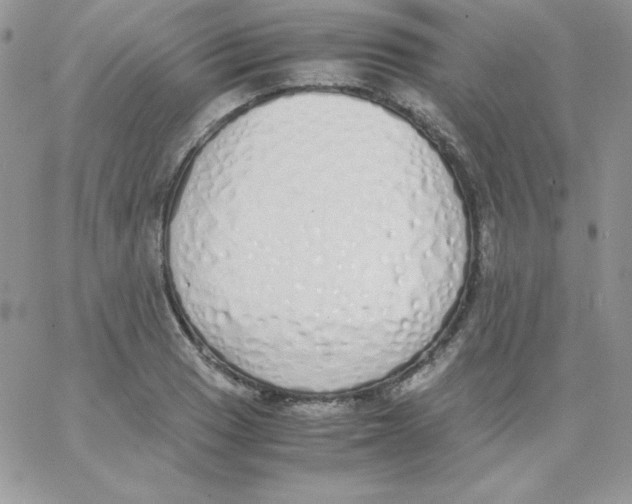 X0000062901033200602031827